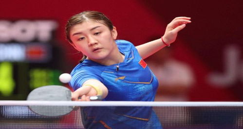 充分运用数 充分运用数