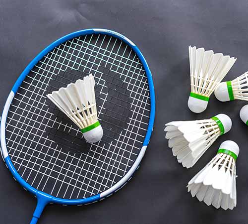 的场地检查 的场地检查