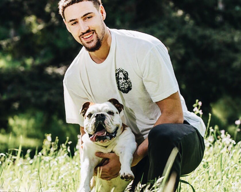 高尔德表示 高尔德表示