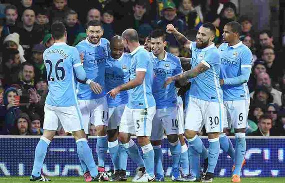 白毛先占草 白毛先占草